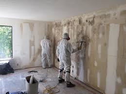 Best Crawl Space Mold Remediation in USA